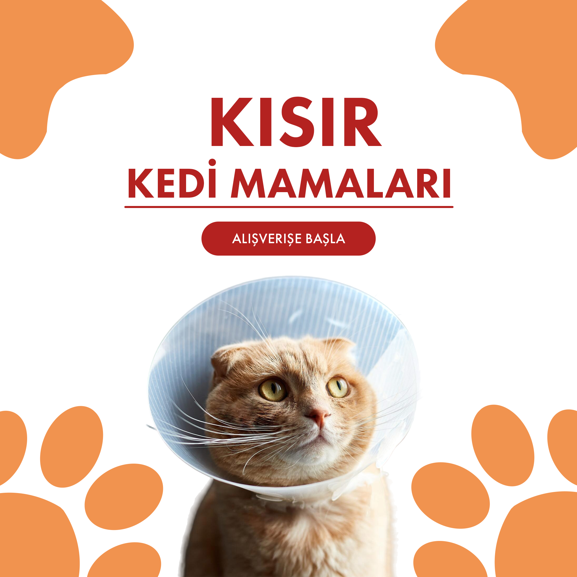 Kısır Kedi Mamaları